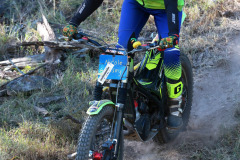 Pic-H